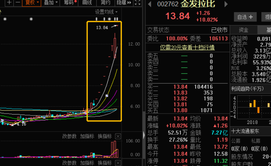 金发拉比