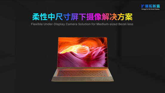 图片11